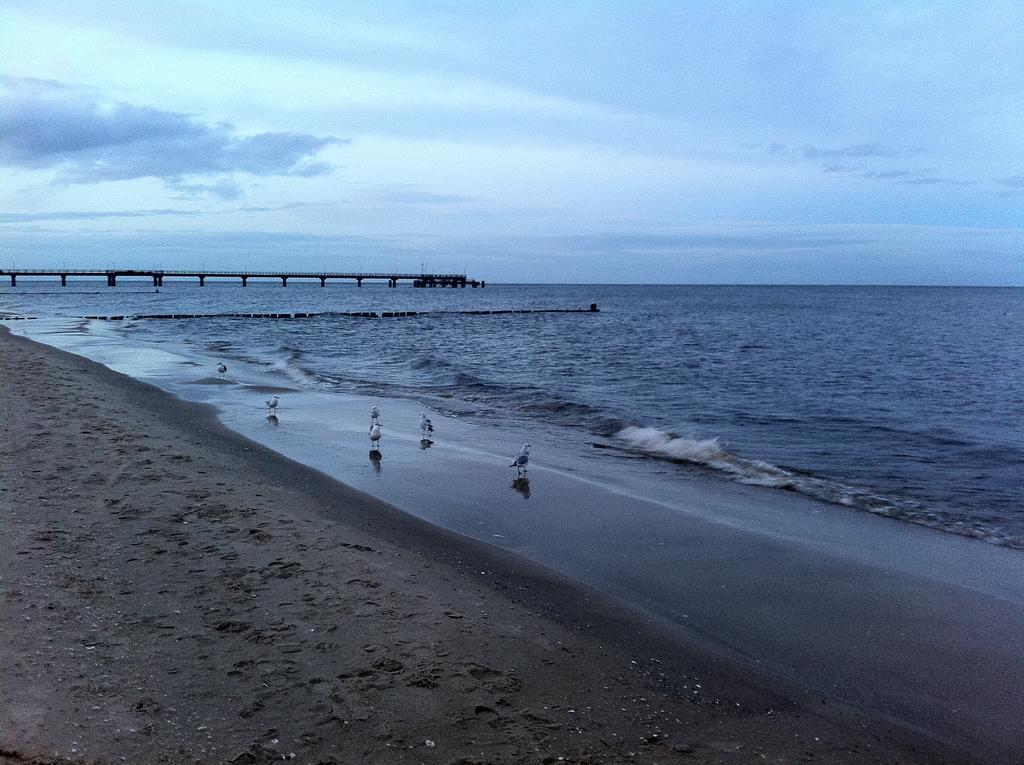 Bio-Hotel Gutshof Insel Usedom Mellenthin Eksteriør bilde